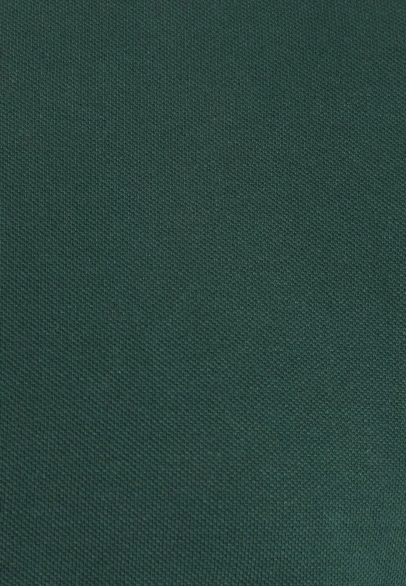 Pier One Uomo Polo - Metallic Green 5 Pier One Uomo Polo - Metallic Green - immagine 3