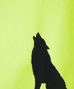 Pier One Uomo T-shirt Con Stampa - Black -Moda Perfetta 2a5bdb4c36c142949961192a3481c53d