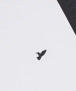 Pier One Uomo 2 PACK - T-shirt Basic - White/dark Grey 17 Pier One Uomo 2 PACK - T-shirt Basic - White/dark Grey -Moda Perfetta 9b5a55e295bd4f49ac51fd43c4bca8b2